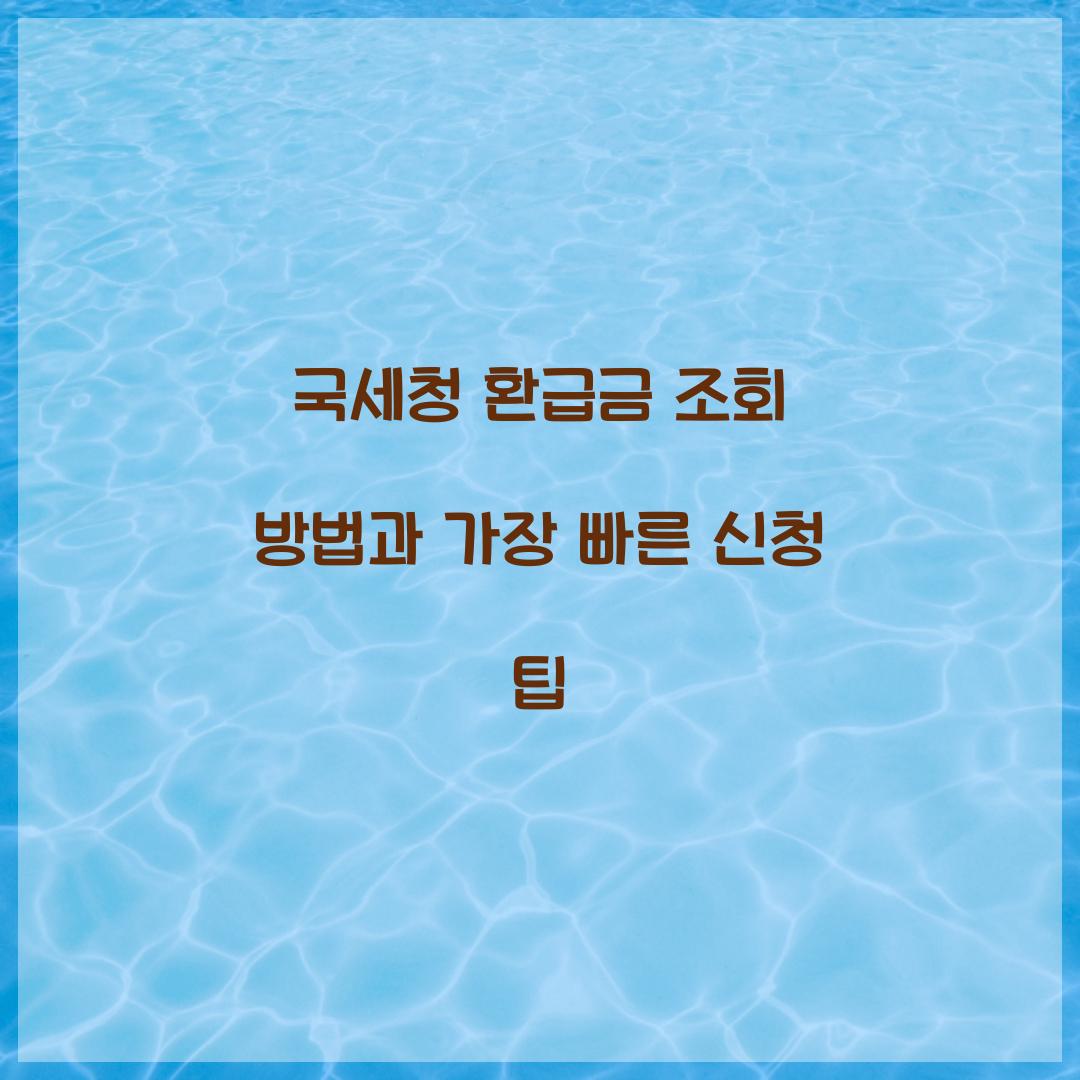 국세청 환급금 조회