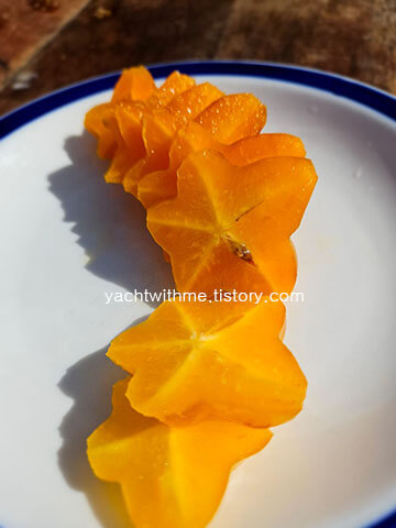 Carambola 카람볼라&#44; 별모양