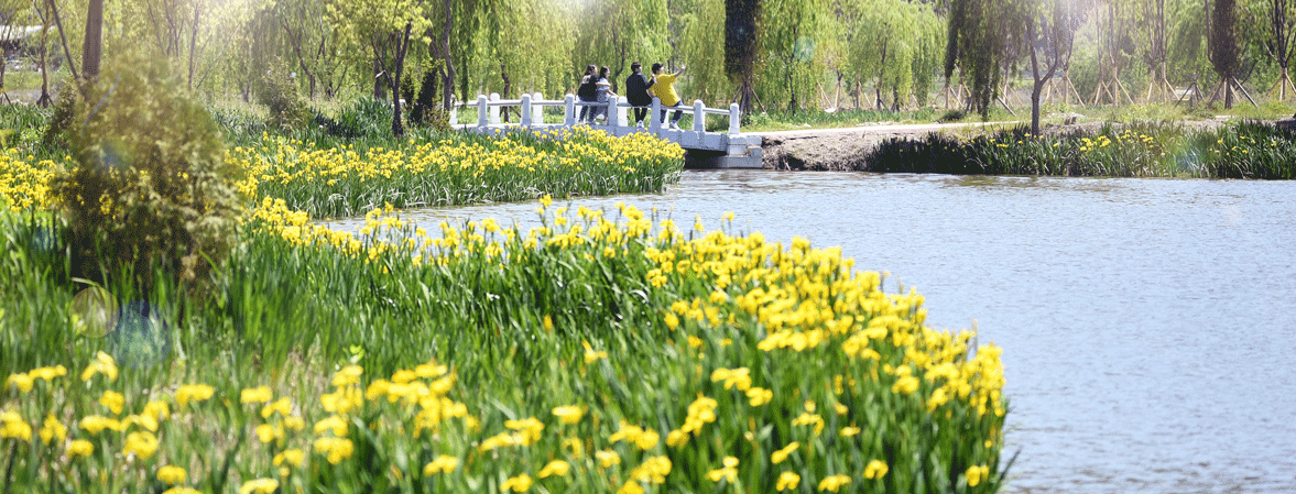 거창-거창창포원