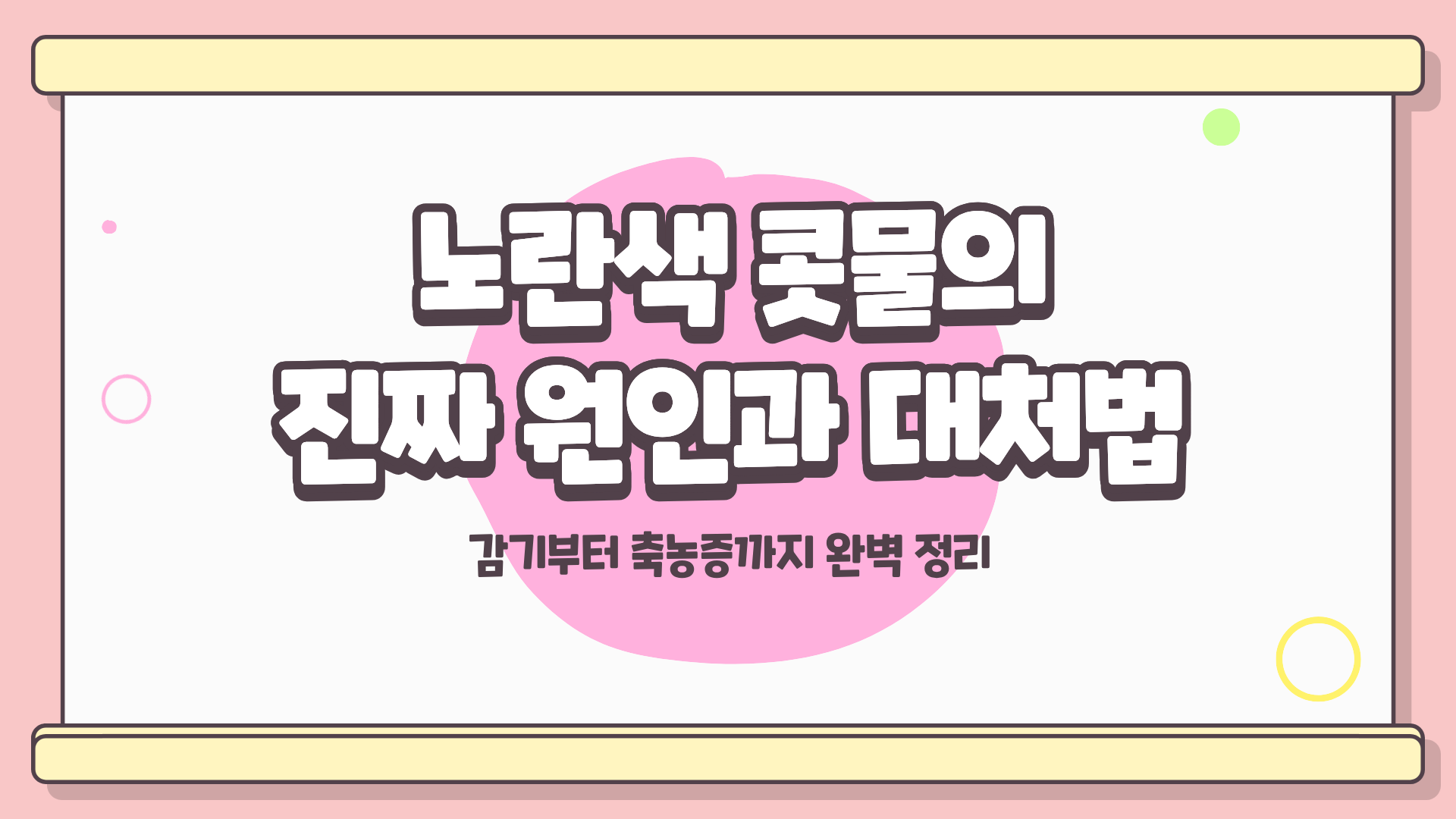 노란색 콧물 절대 가볍게 보면 안 된다? 감기부터 축농증까지 한 번에 정리한 진짜 원인과 대처법