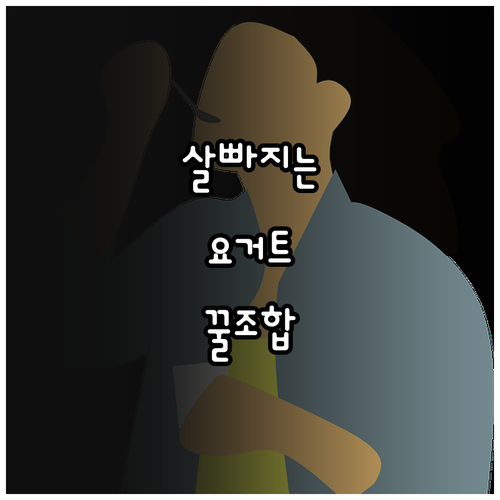 그릭요거트 다이어트 식단 토핑 조합과..