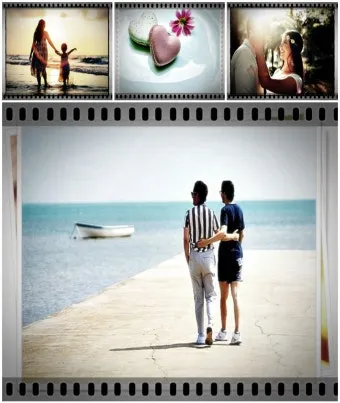 씨앗 저장법 건조 저온 밀봉 발아율 유지 교체 주기_10