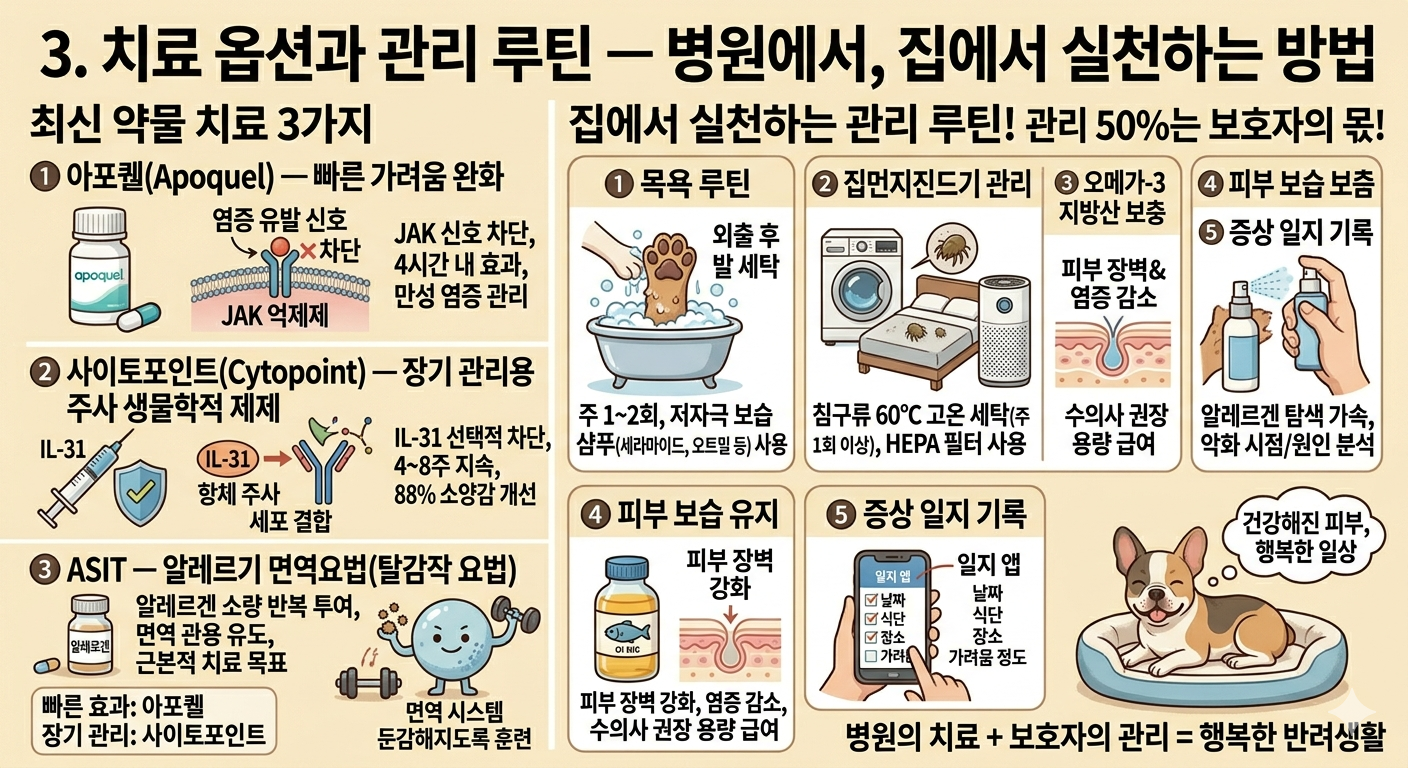 강아지 아토피 치료옵션과 관리루틴