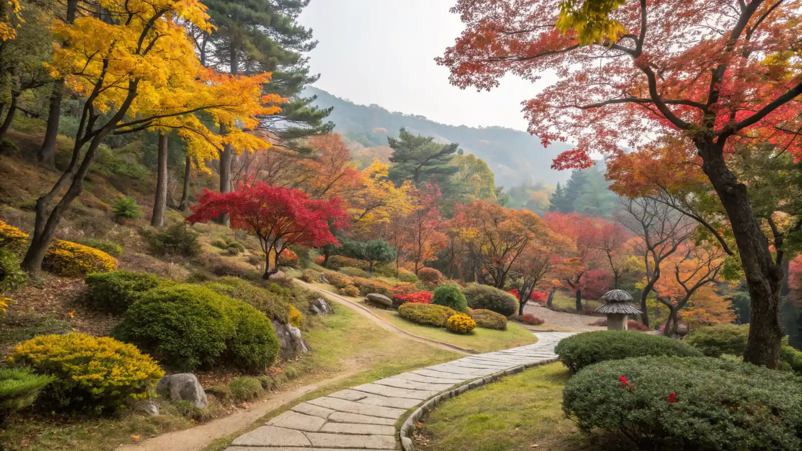 관련이미지