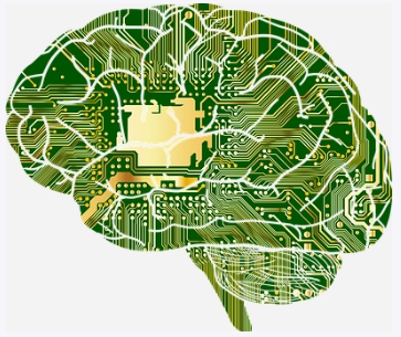 포스파티딜 세린 효능