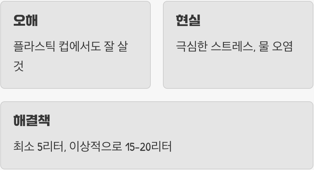 1. '작은 컵'이 집이라는 가장 큰 오해