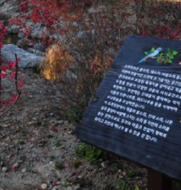 전국 수목원 BEST 5 – 자연의 품으로 떠나는 진짜 힐링 여행