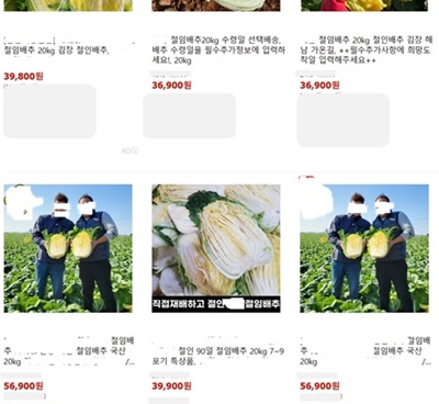 김장 김치 간단히 ; 절임배추 구매