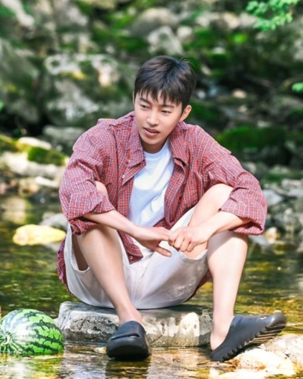임영웅 반려견 시월이 총정리｜견종 코통 드 튈레아르&middot;나이&middot;생일&middot;입양 사연&middot;또또 뮤직비디오