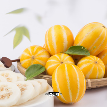 참외껍질 음식물쓰레기 인가요