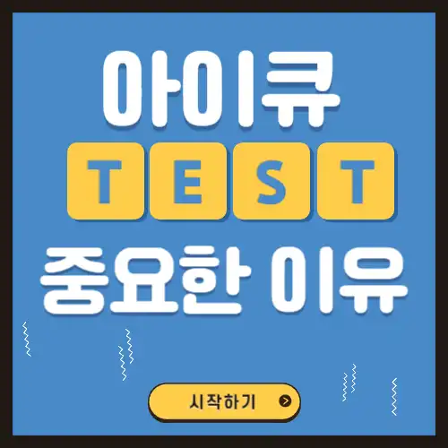 정확한-아이큐테스트-무료
