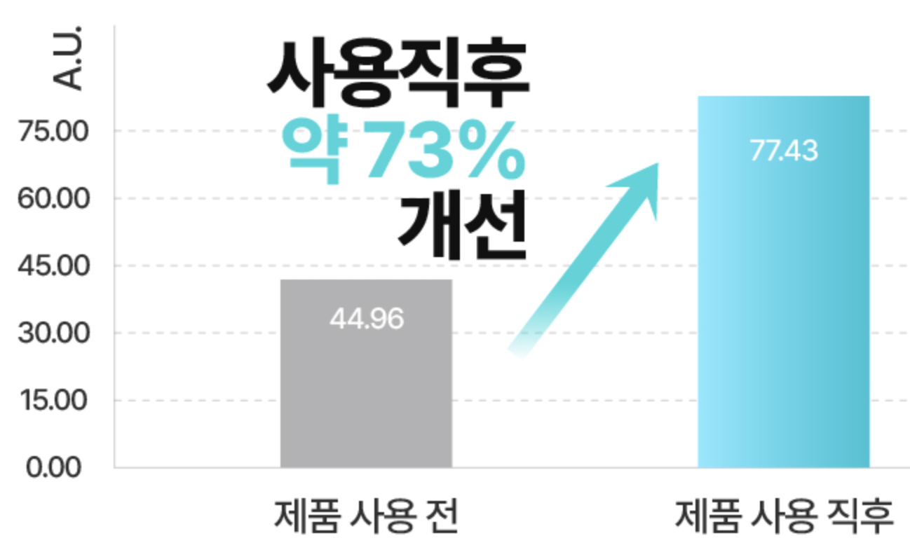 바디미스트-추천
