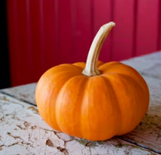 단호박 효능 부작용 영양성분 고르는법 칼로리