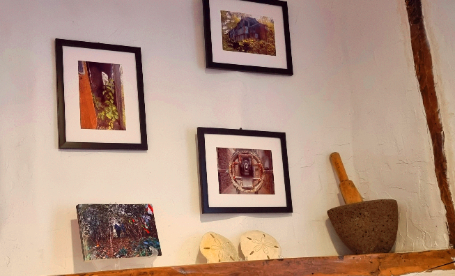 올레20코스 텍시아 내부 인테리어