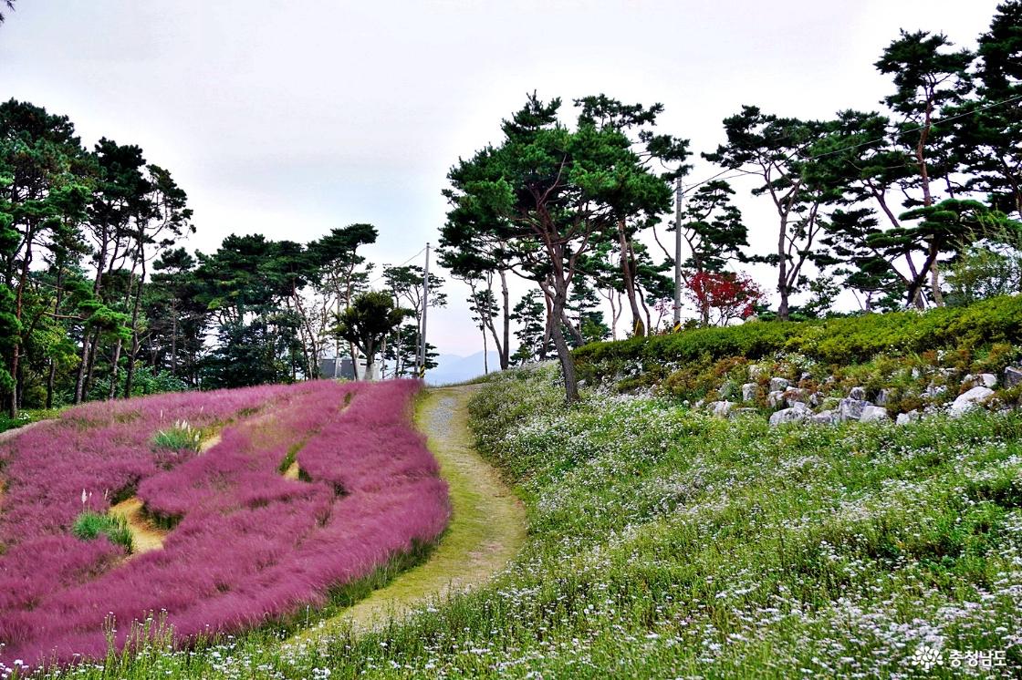 홍성솔바람테마파크