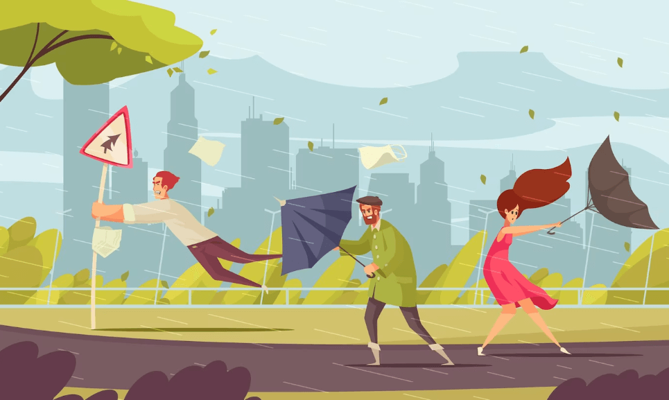 태풍-피해-방지