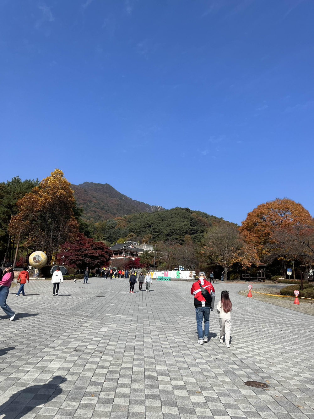 단풍명소 용문사