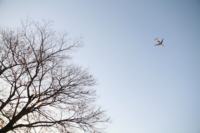 2025년 대구&middot;경북 계곡 물놀이 명소 &amp; 캠핑장 추천! 여름 더위 탈출 장소 총정리