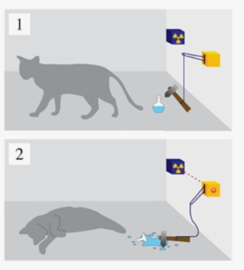양자역학이란, 입자인가 파동인가, 이중슬릿실험과 슈레딩거의 고양이 그리고 닐스 보어의 주장