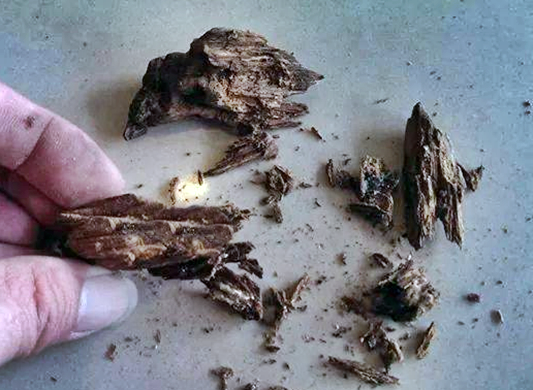 침향,침향효능,침향가루,침향환,침향분말,침향나무,베트남침향,침향가격