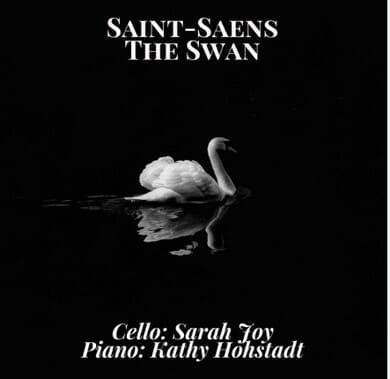생상스 스완 앨범
