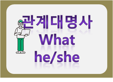 what he/she