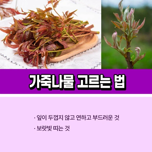 가죽나물 고르는법