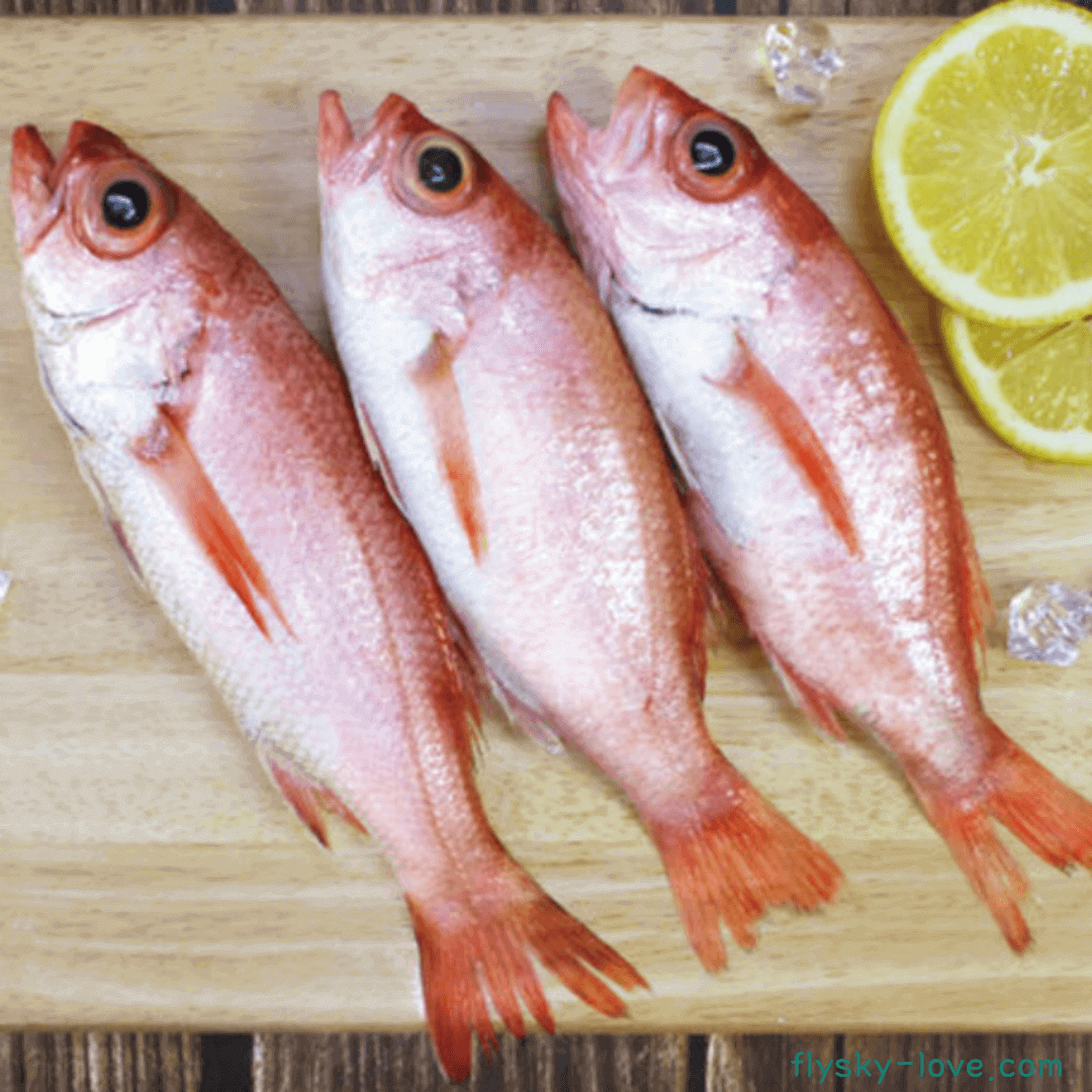 생선의 황태자 눈볼대, 금태