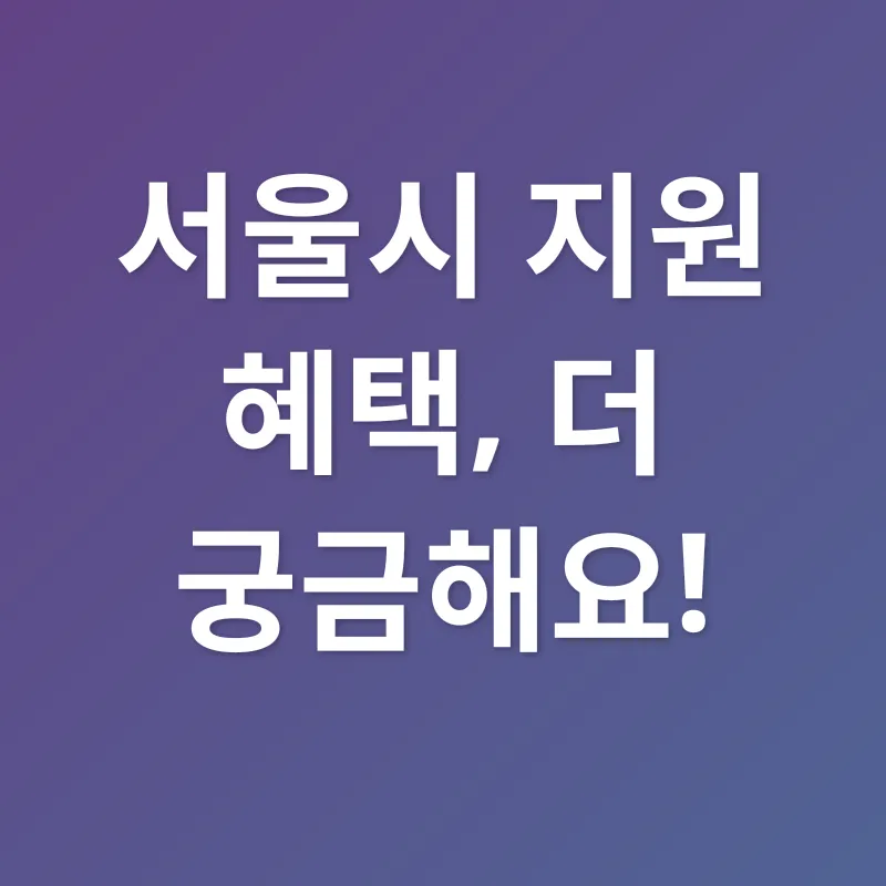 서울시 지원 혜택_4