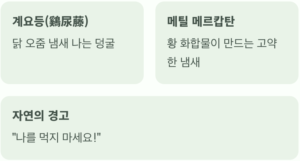 이름 속에 숨겨진 강력한 경고