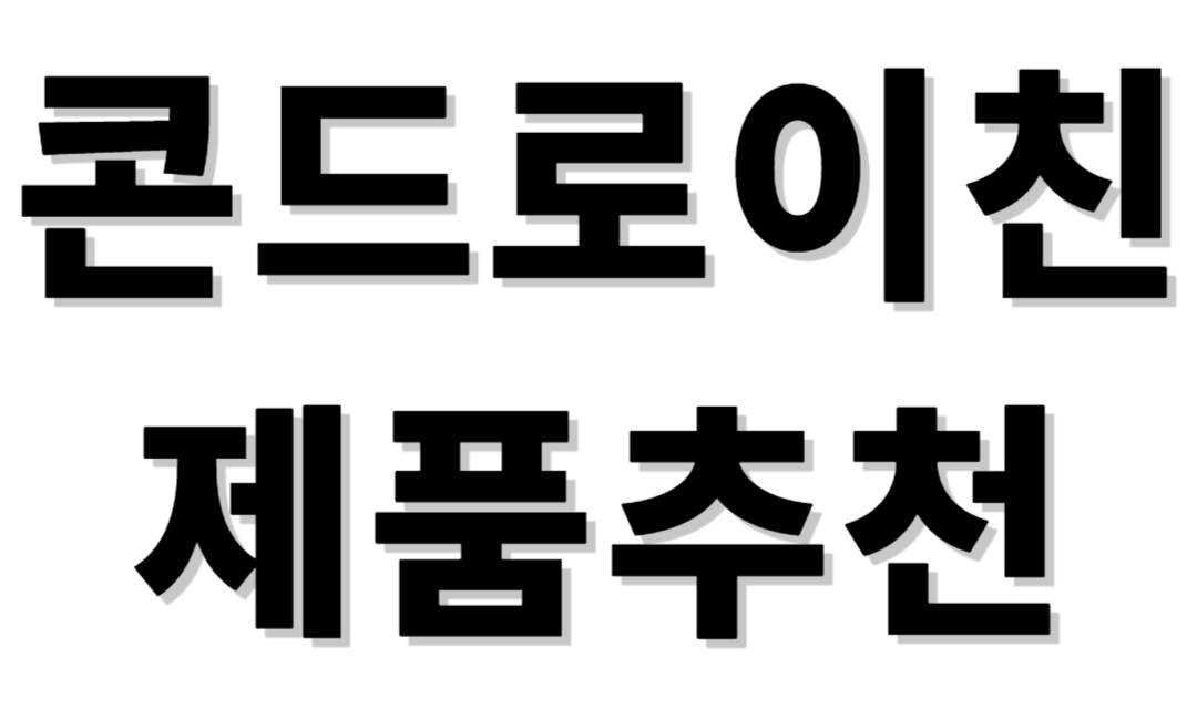 콘드로이친 제품추천