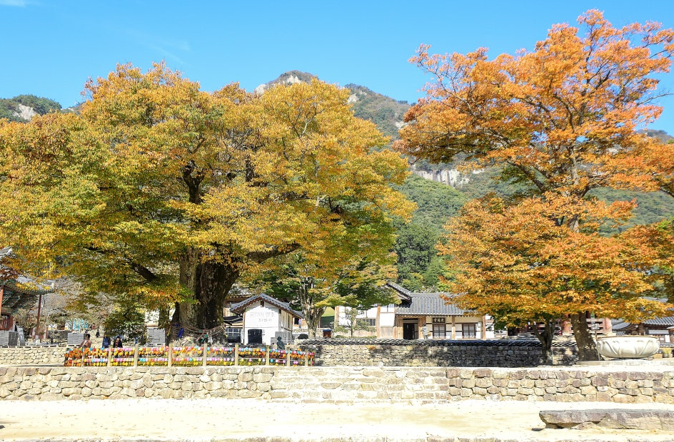부안 내소사1