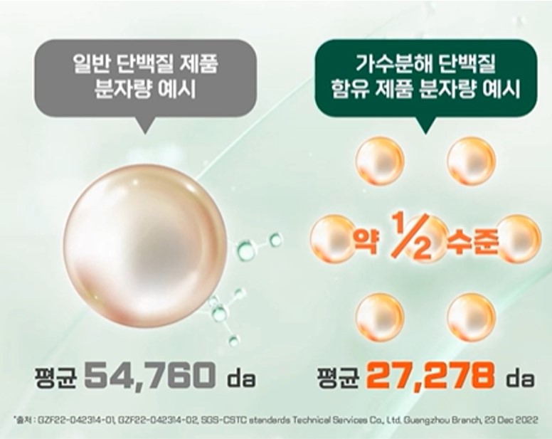 단백질