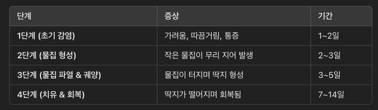 헤르페스 증상 단계