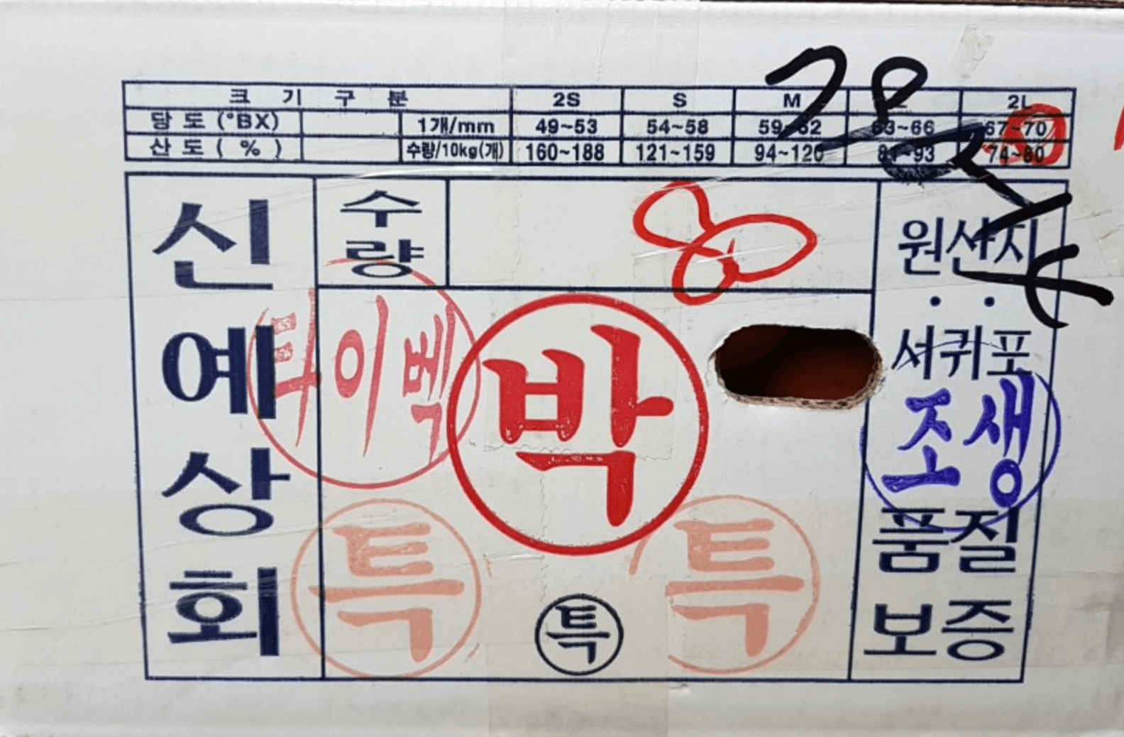 [겨울철 별미] 간단명료! 감귤의 종류 및 보관방법