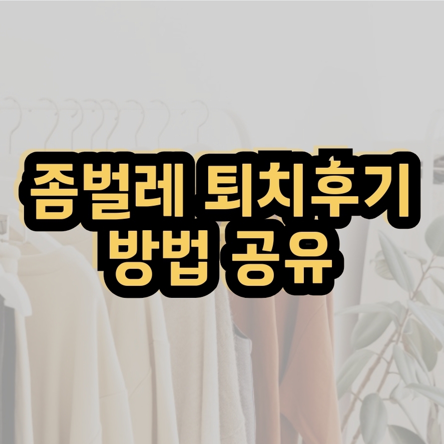 좀벌레 퇴치 후기