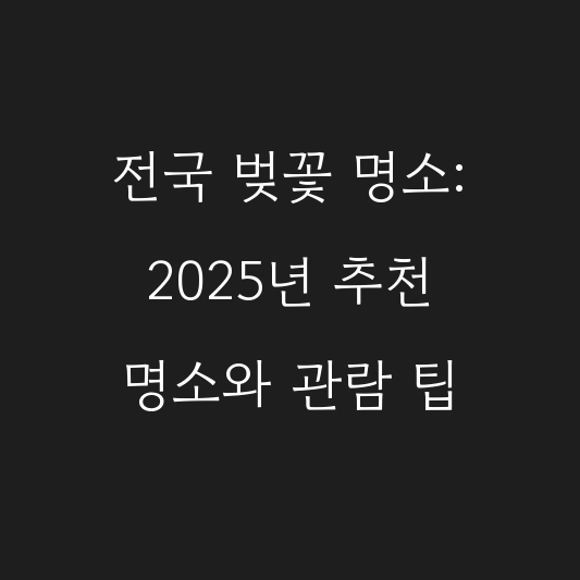 전국 벚꽃 명소: 2025년 추천 명소와 관람 팁 대표 이미지