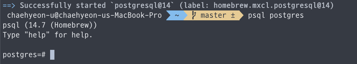 postgresql 접속