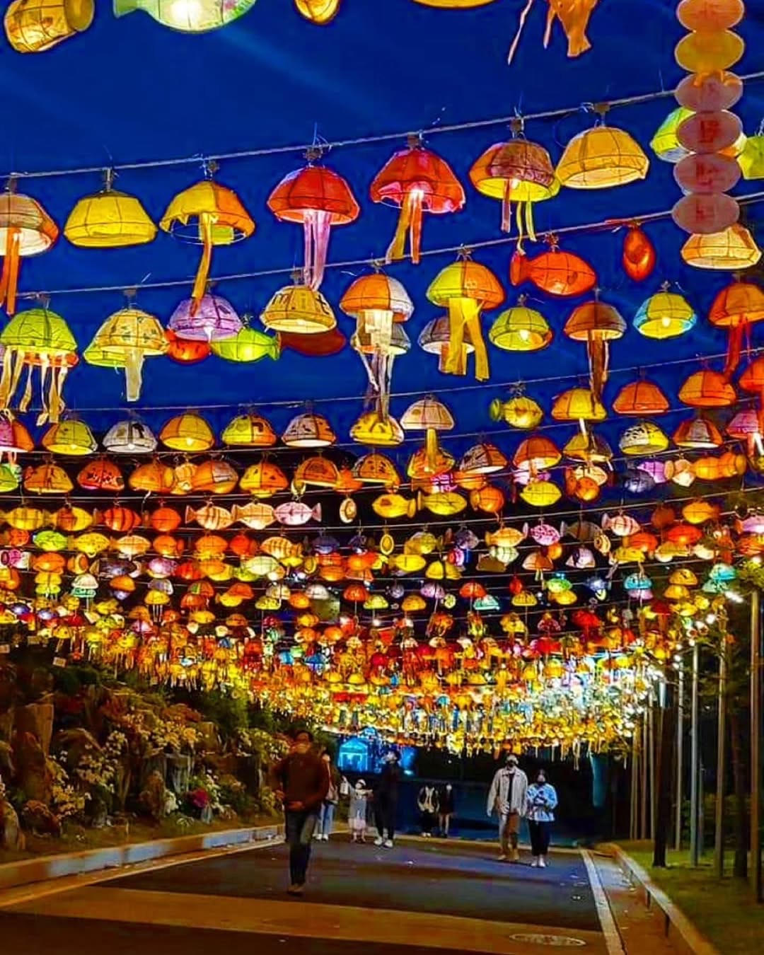 원주 한지문화축제 야경