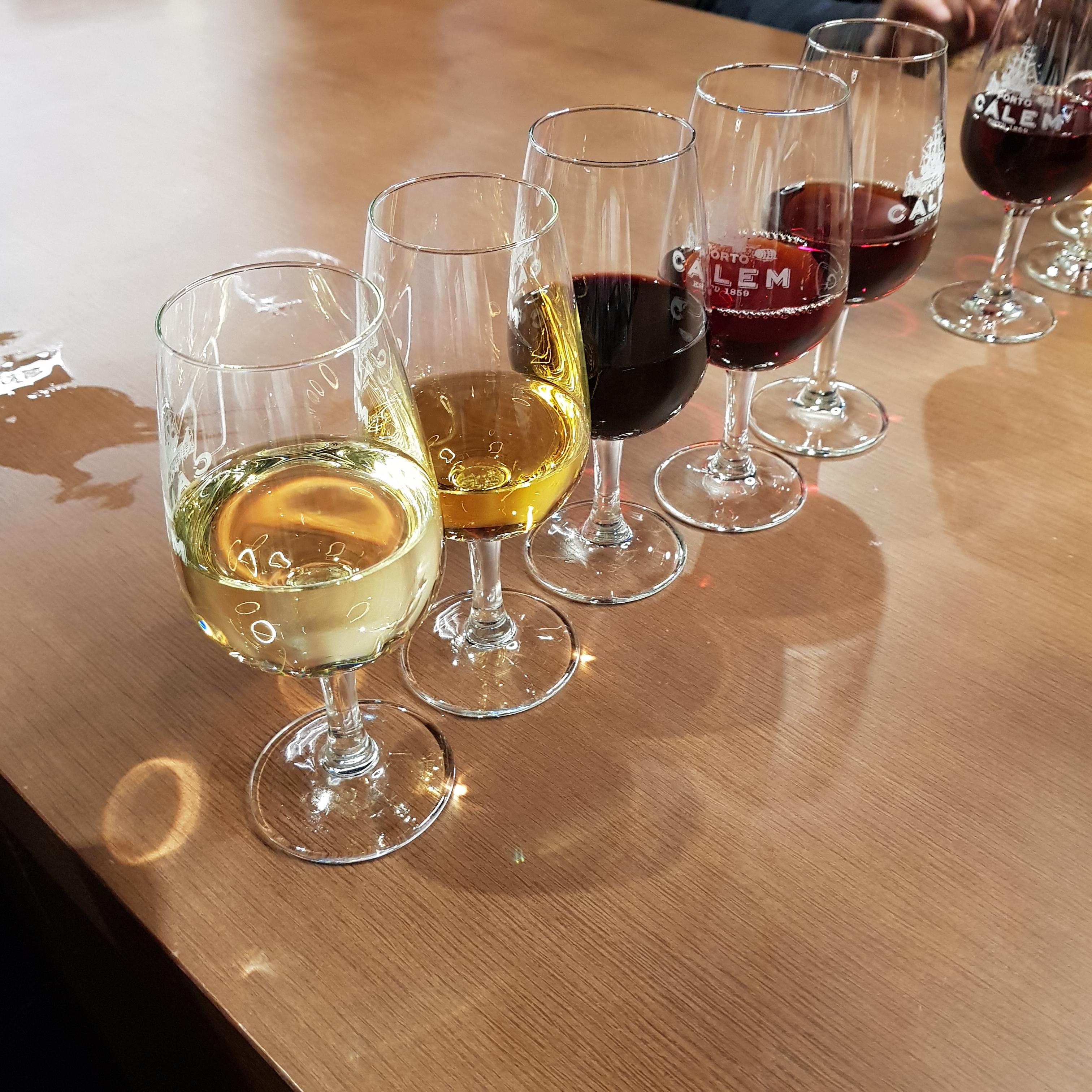 와인 시음 사진