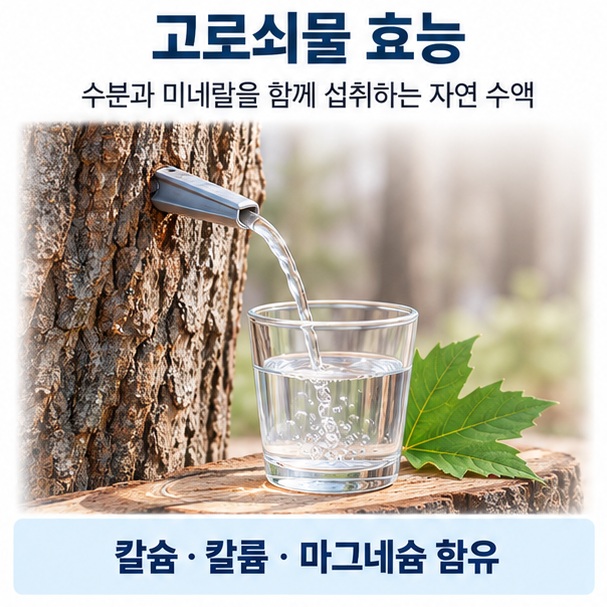고로쇠물 효능이라는 제목과 고로쇠나무에서 수액을 채취하는 장면, 칼슘 칼륨 마그네슘 아이콘을 함께 표현한 대표 이미지