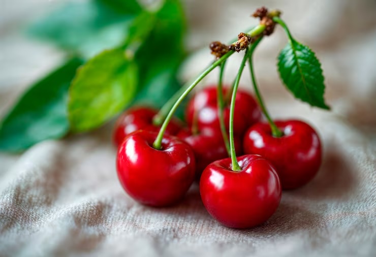 체리 효능