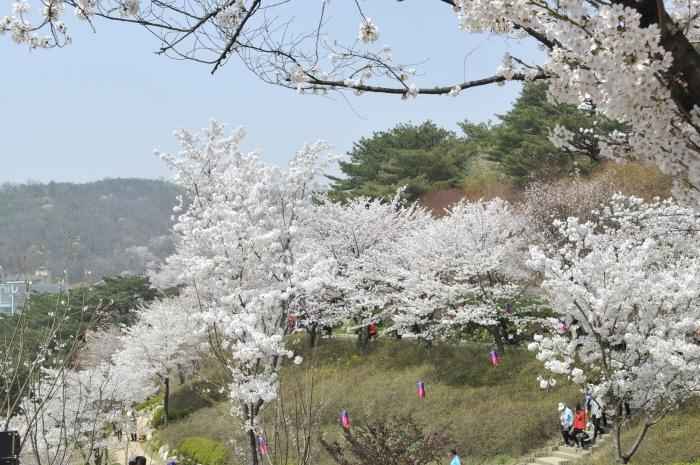안산자락길