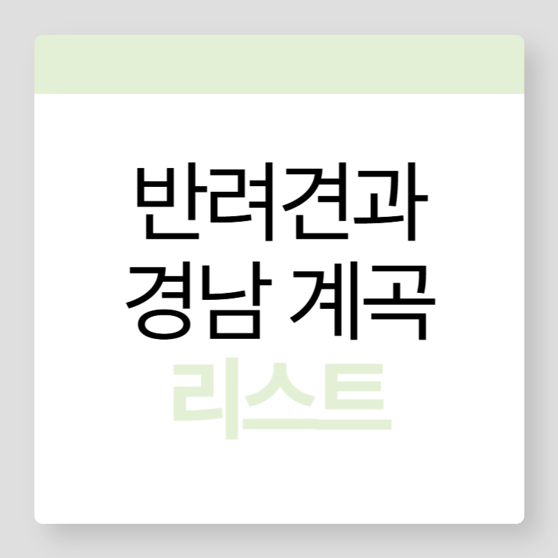 반려견동반계곡