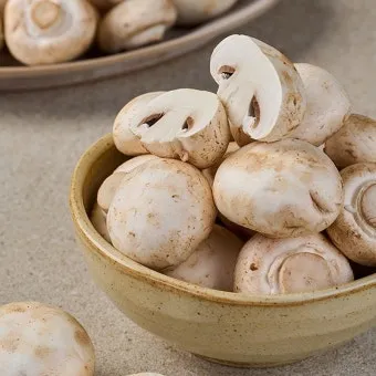 양송이버섯 제철 손질법과 볶음 요리 보관까지 전부 알려드립니다_6