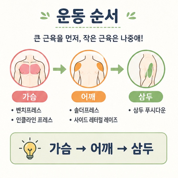 큰 동작에서 작은 동작으로 이어지는 운동 순서와 &lsquo;가슴 &rarr; 어깨 &rarr; 삼두&rsquo; 흐름을 설명한 그림