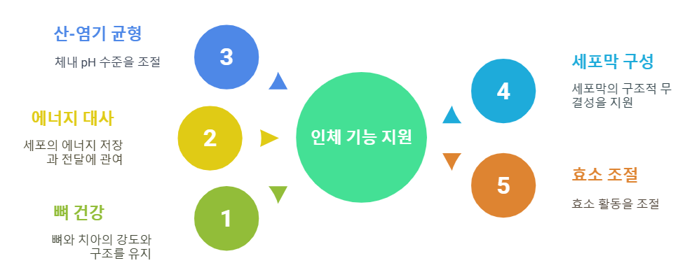 인산 역할