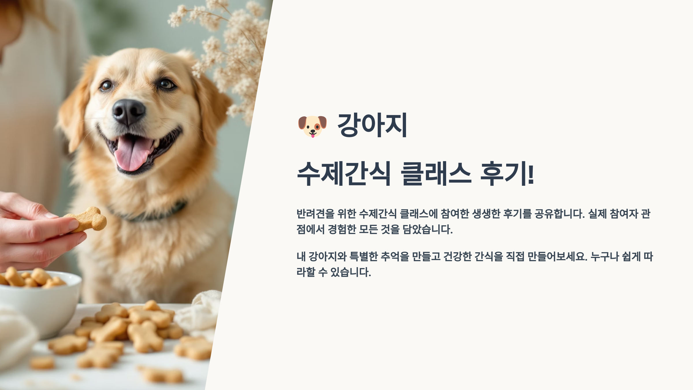 강아지 수제간식 클래스 후기! 직접 만들어보니 이런 변화가?