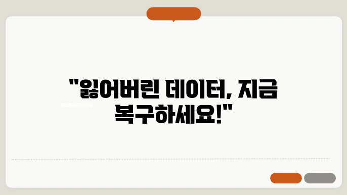 외장하드복구