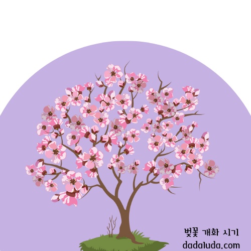 벚꽃 개화 시기 2025 인천 벚꽃 구경 볼만한 곳